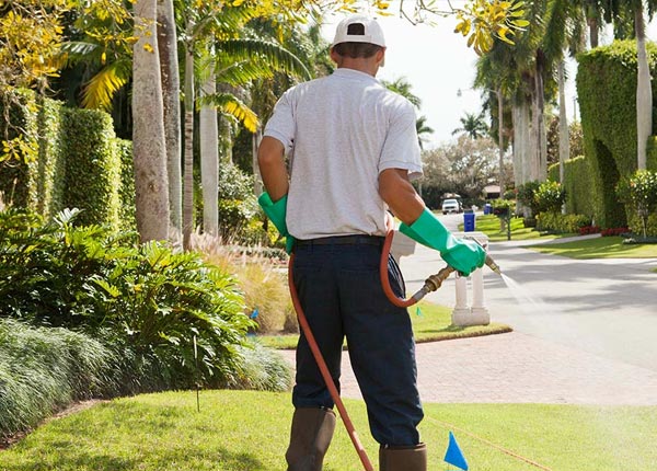 About Tillson NY Pest Control